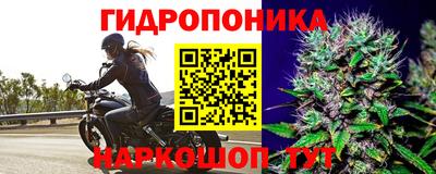 бутират Кингисепп