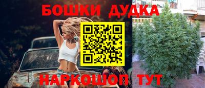 гашик Кимры