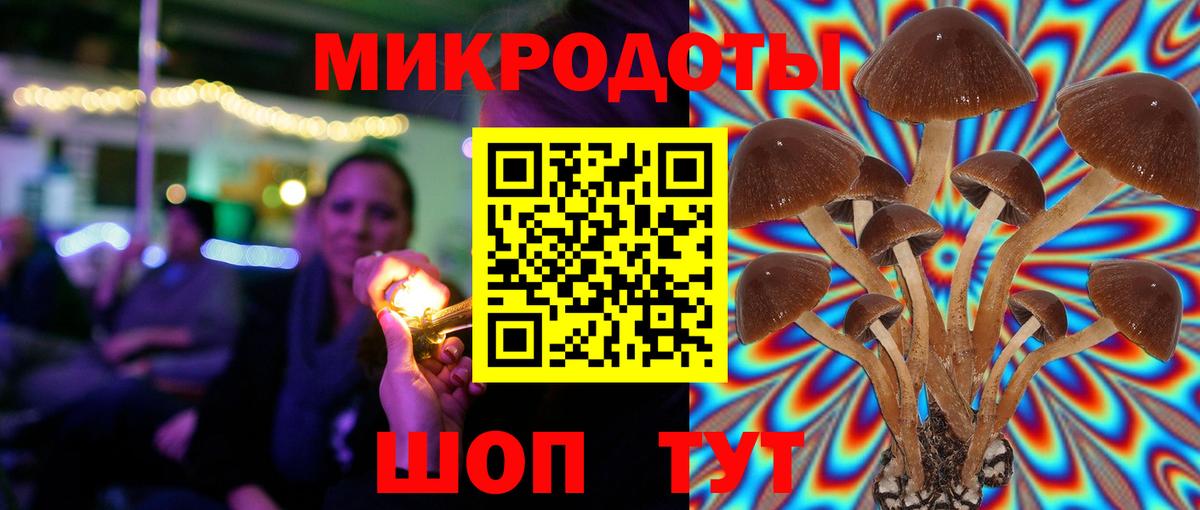 Псилоцибиновые грибы Psilocybine cubensis  Вход с VPN  Иркутск 